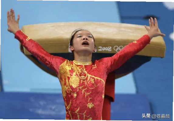 体操程菲跳是女子跳马项目中一项以中国名将程菲命名的标志性动作